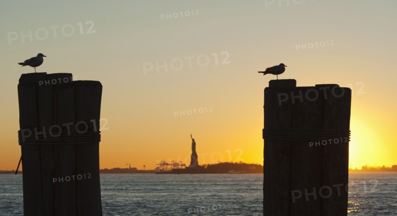 USA, New York City, Staten Island, Silhouette of seagulls with Statue of Liberty in background.