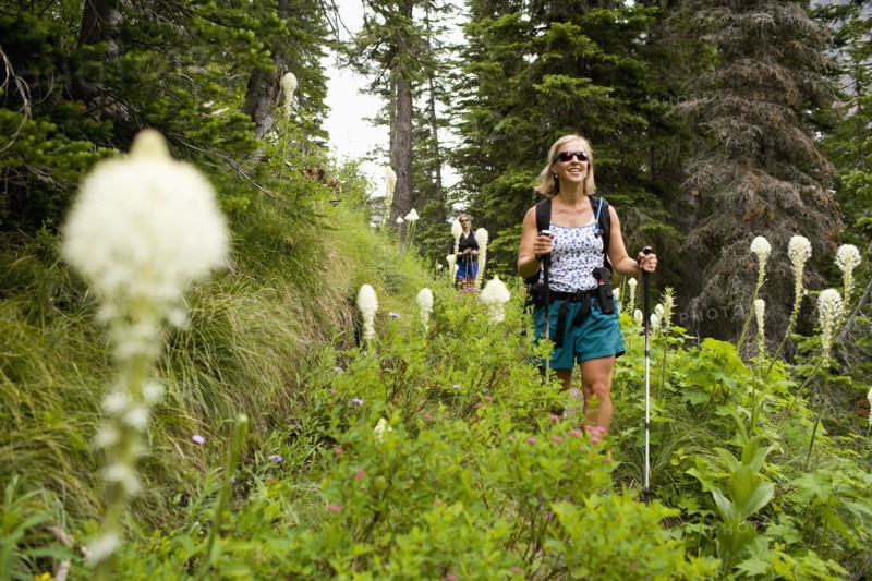 USA, Montana, Glacier National Park, Two mid adult women hiking. Photo : Noah Clayton