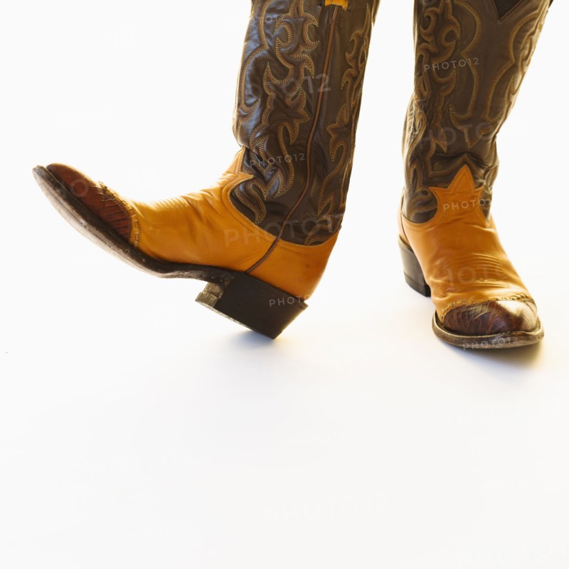Pair of cowboy shoes.