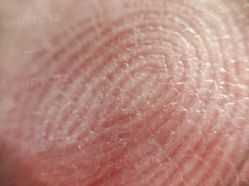 Extreme close-up of fingerprint.