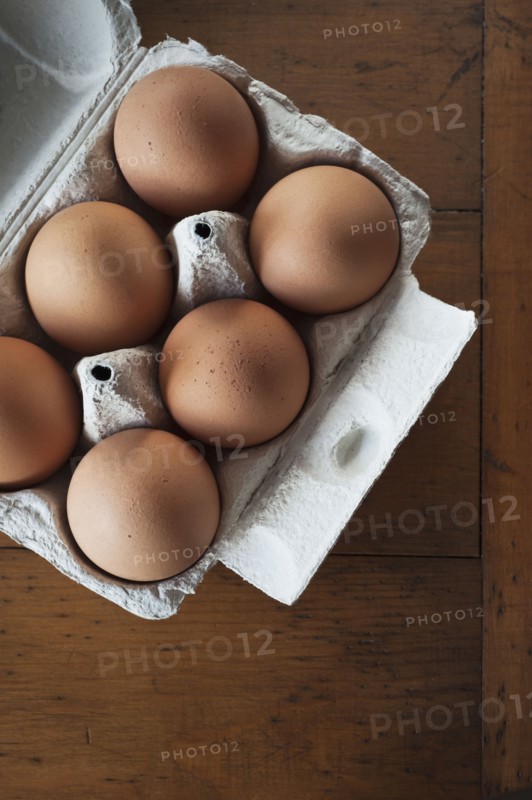 Studio shot of egg.