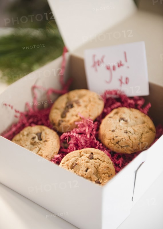 Christmas cookies in box. Photo : Jamie Grill Photography