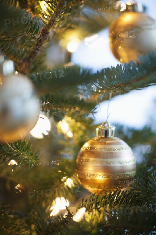 Christmas decoration hanging on Christmas tree, studio shot.