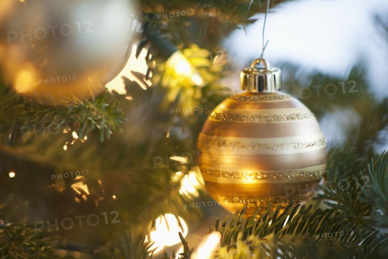 Christmas decoration hanging on Christmas tree, studio shot.