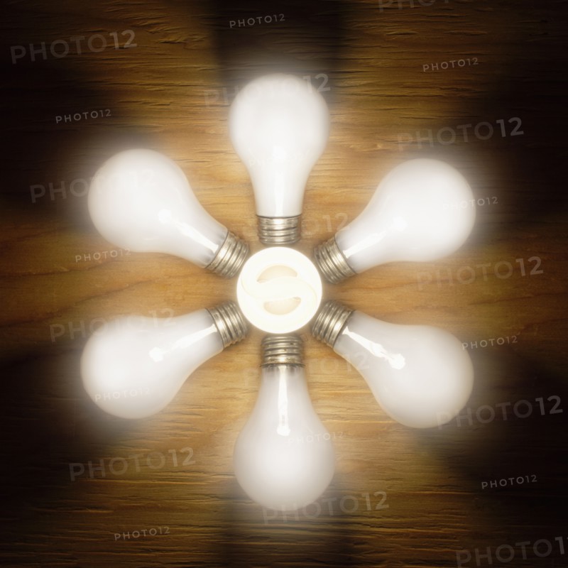 Light bulbs in circle, studio shot. Photo : Mike Kemp