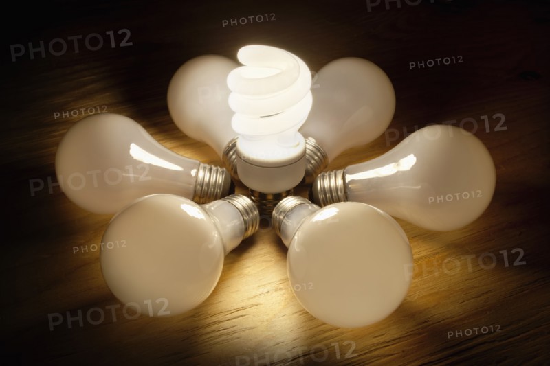 Light bulbs in circle, studio shot. Photo : Mike Kemp