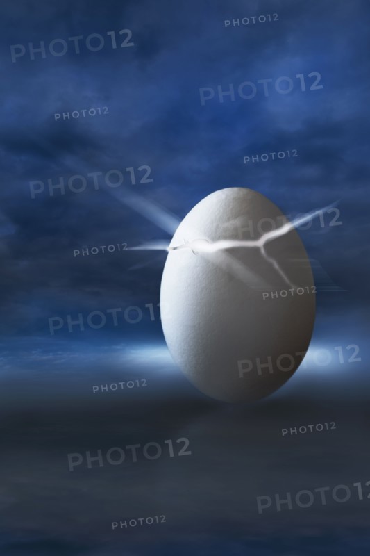 Digital composition with white egg.