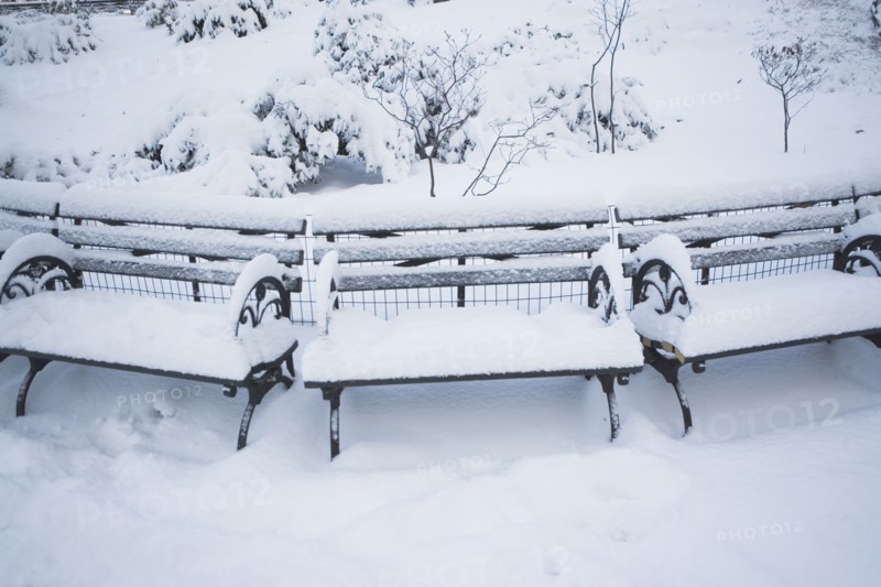 USA, New York City, Manhattan, Benches in Central Park covered with snow. Photo : fotog