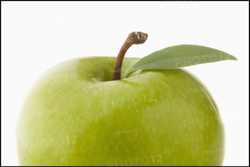 Studio shot of green apple, close-up. Photo : Mike Kemp
