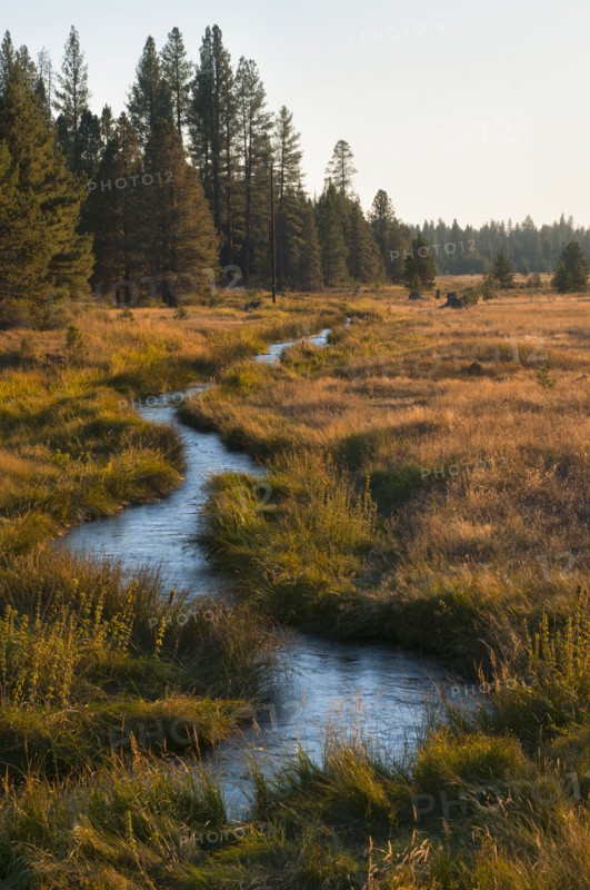 USA, Oregon, Paulina Creek. Photo : Gary Weathers