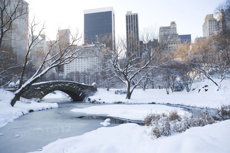 USA, New York City, View of Central Park in winter with Manhattan skyline in background. Photo : fotog