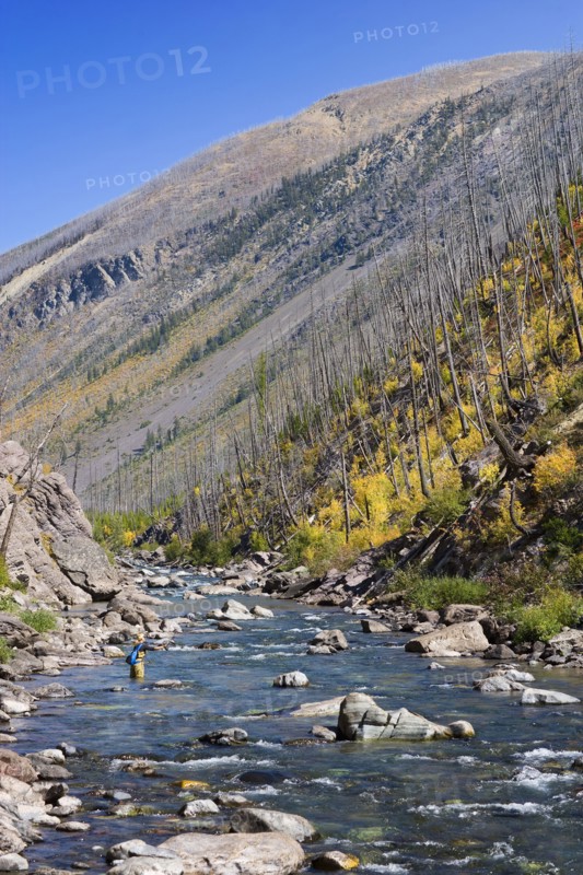 USA, Montana, Woman fly fishing in North Fork of Blackfoot River. Photo : Noah Clayton