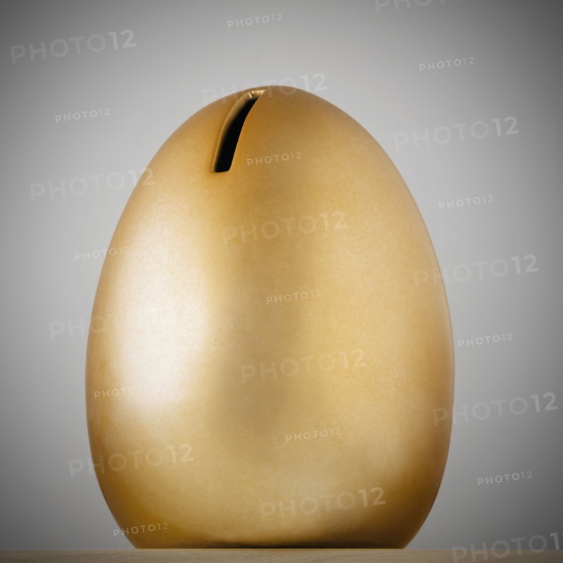 Savings egg money box. Photo : Joe Clark
