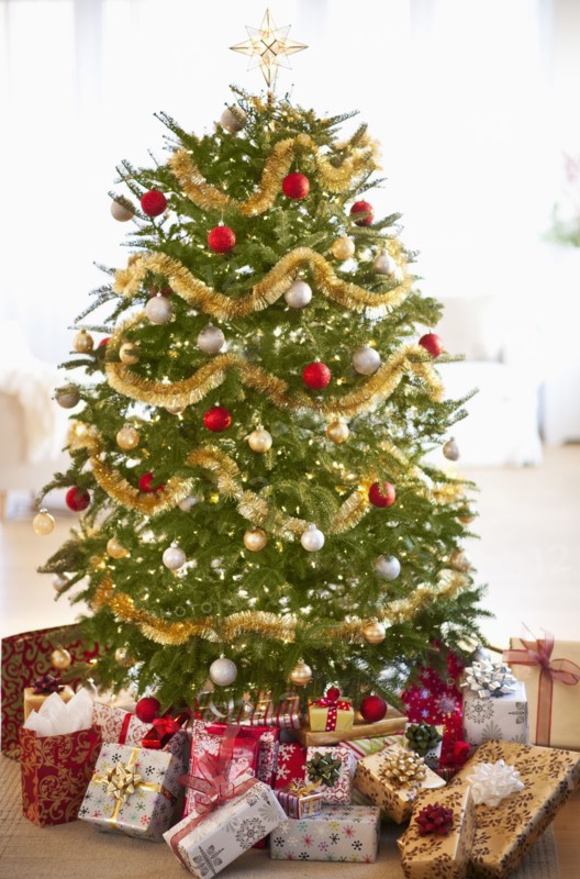 Colorful gifts under christmas tree.
