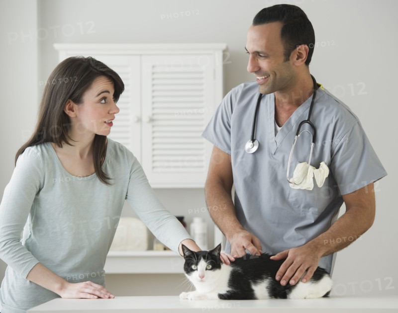 Woman and vet stroking cat in pet clinic.