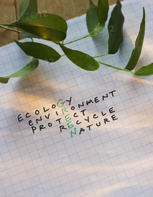 Crossword puzzle reading GREEN. Photo : Daniel Grill