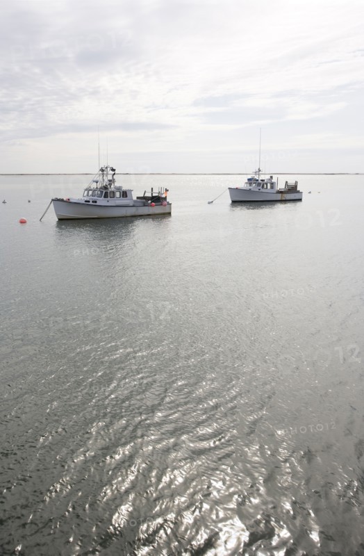 USA, Massachusetts, moored fishing boats. Photo : Chris Hackett