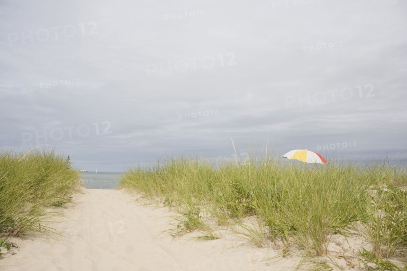 USA, Massachusetts, beach umbrella among Marram grass on beach. Photo : Chris Hackett