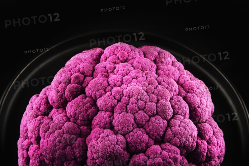 Purple Cauliflower on black background. Photo : Joe Clark