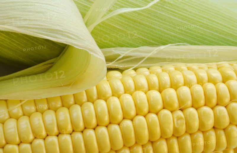 Close up of corn.