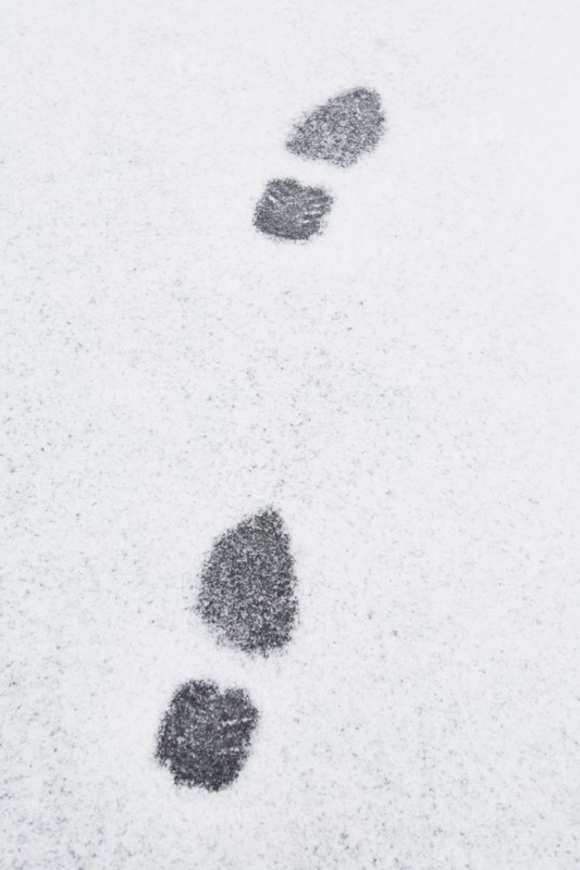 USA, New Jersey, Footprints in snow. Photo : Chris Hackett