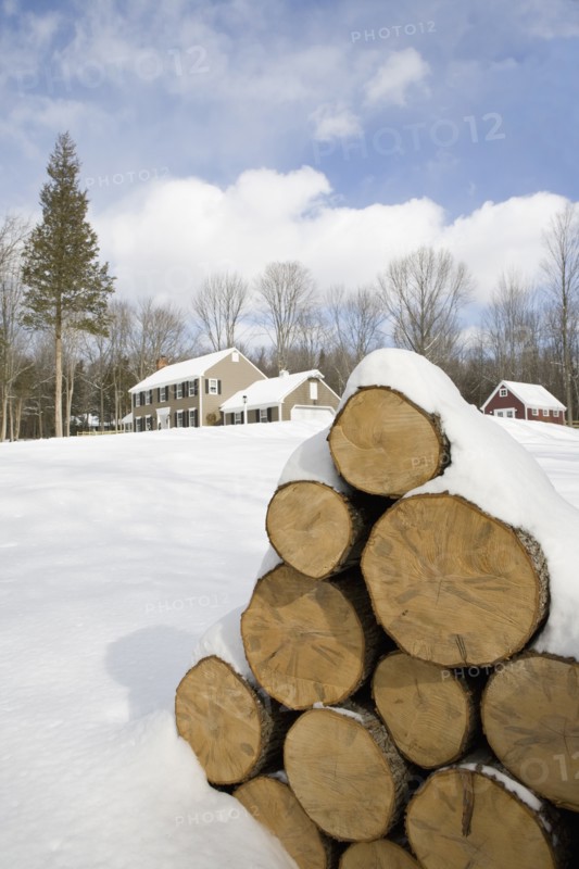 USA, New Jersey, Stack of timber in winter scenery. Photo: Chris Hackett