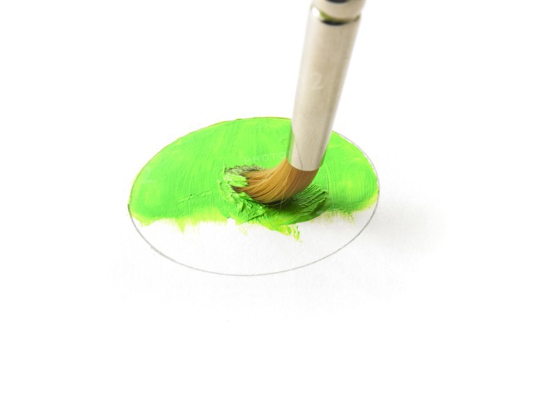 Paintbrush in green paint on white background. Photo: David Arky