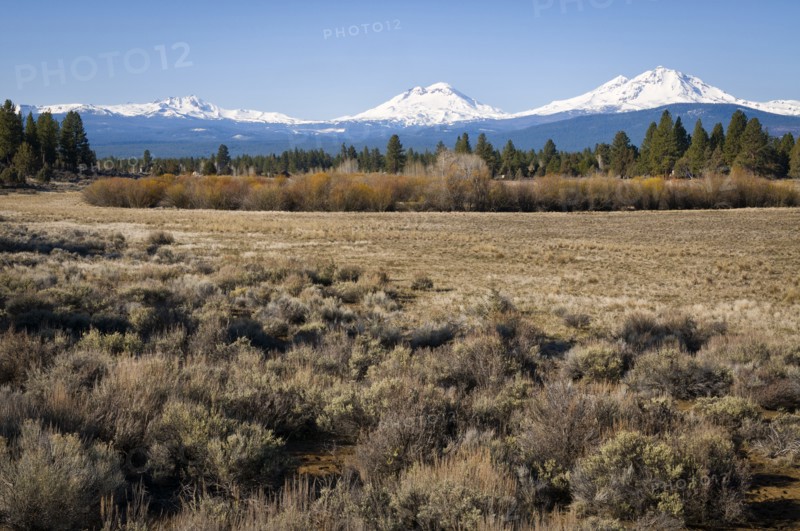 Field with snow covered Cascade mountains in background. Photo: Gary Weathers