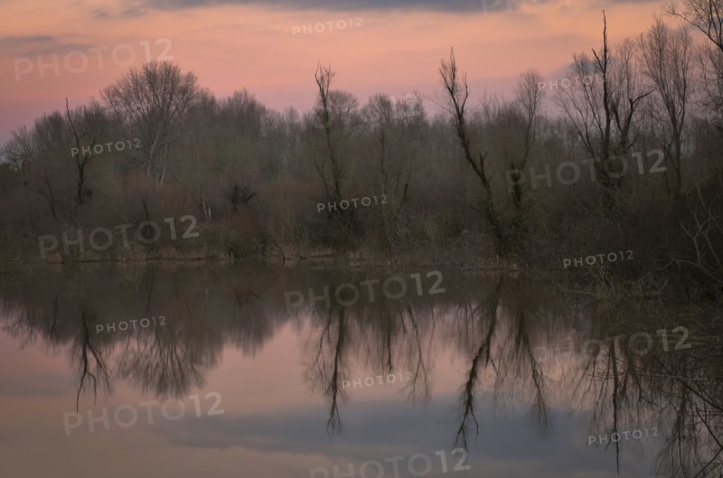 USA, Oregon, Bare trees reflecting in lake at sunrise. Photo: Gary Weathers