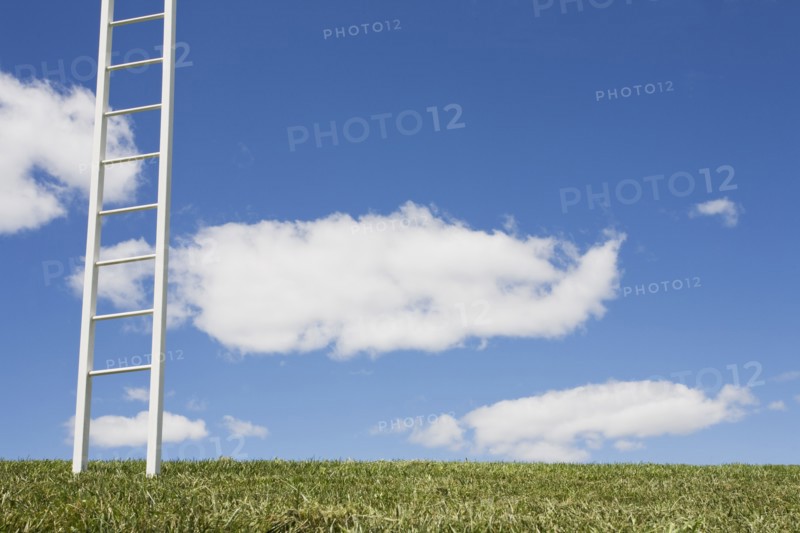 USA, New Jersey, White ladder in field. Photo: Chris Hackett