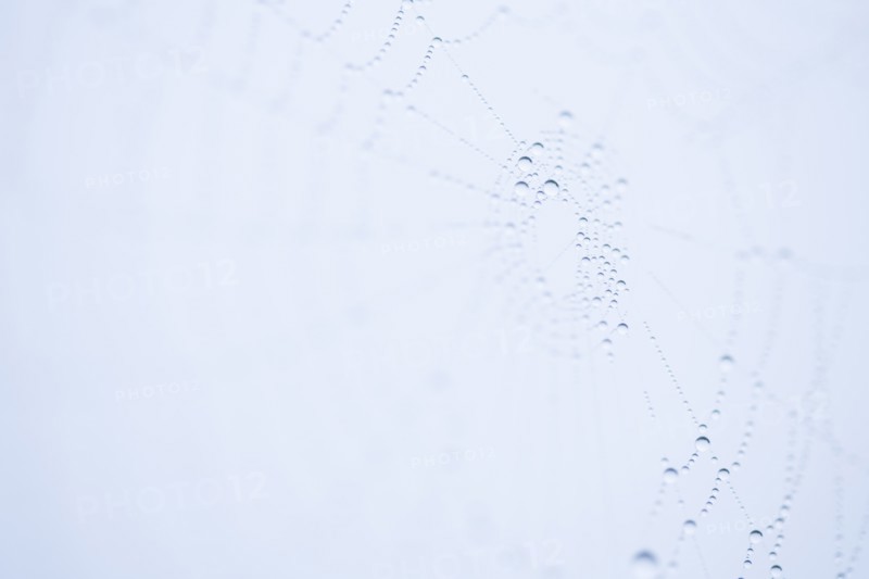Footprints in snow. Photo : Kristin Lee