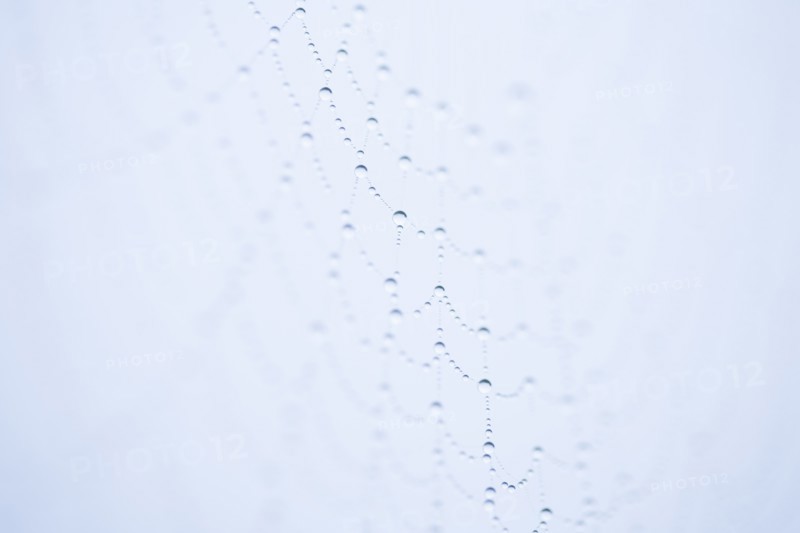 Footprints in snow. Photo : Kristin Lee