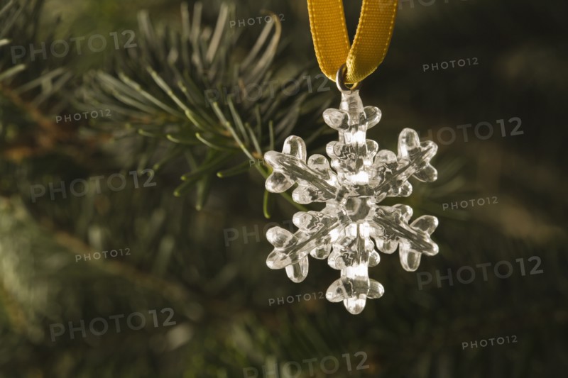 Close-up view of silver star hanging on Christmas tree. Photo: Kristin Lee