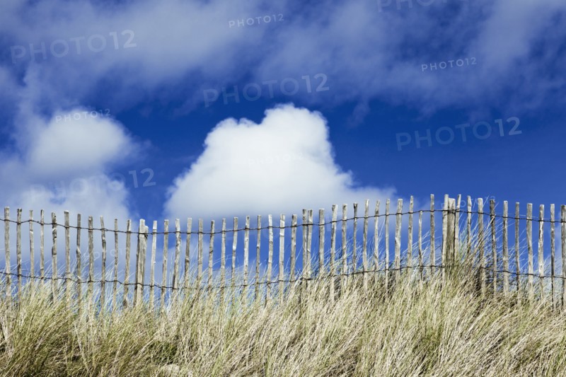 France, Picket fence, grasses and blue sky. Photo : Jon Boyes