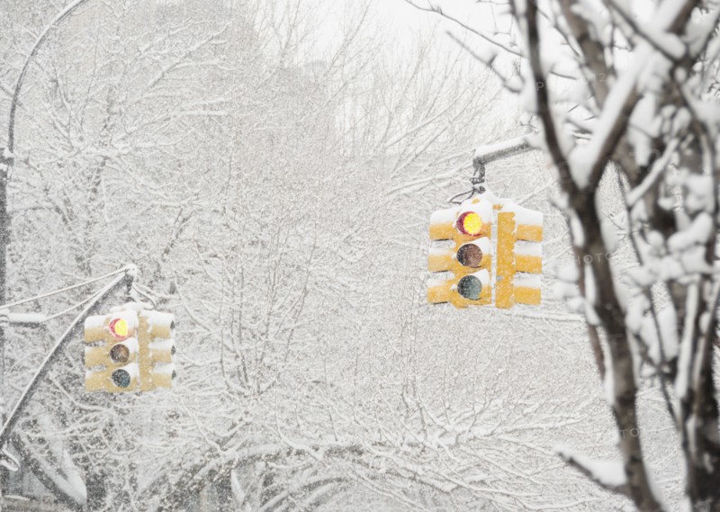 USA, New York State, Brooklyn, Williamsburg, street lights and snow covered trees. Photo: Jamie Grill Photography