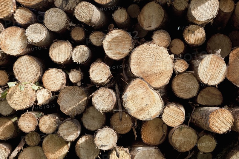 Close up-view of firewood stack. Photo : Jon Boyes