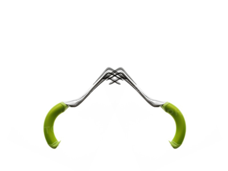 Studio shot of two gardening forks. Photo : David Arky
