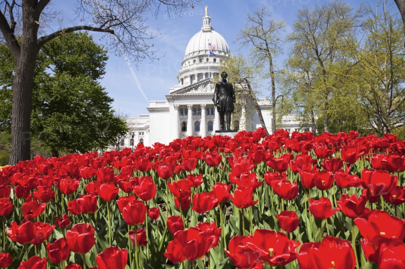 USA, Wisconsin, Madison, State Capitol Building, red tulips in foreground. Photo: Henryk Sadura