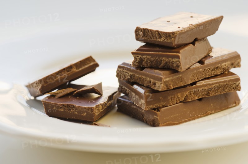 Studio shot of chocolate on plate.