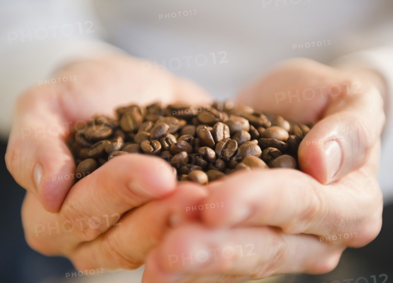 Hands holding coffee beans. Photo : Jamie Grill Photography