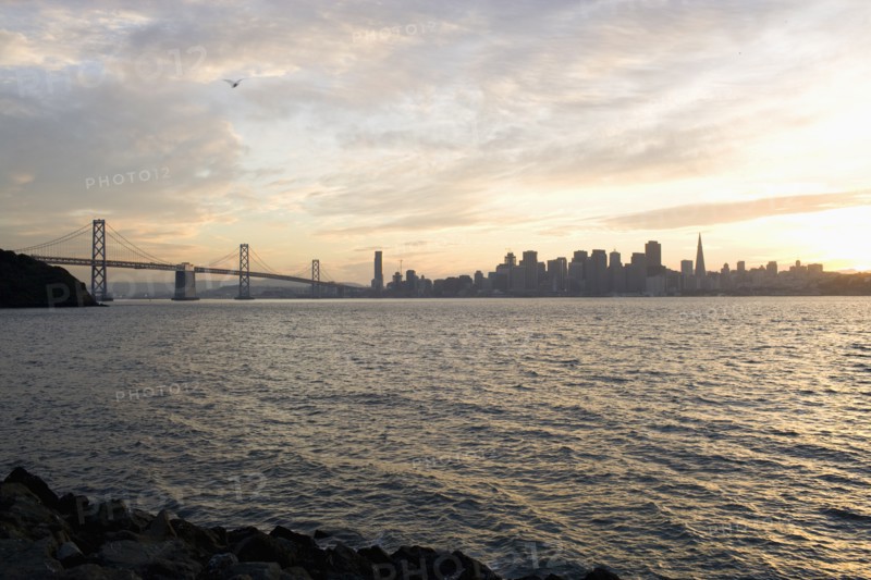 USA, San Francisco, City skyline with Golden Gate Bridge. Photo: Noah Clayton