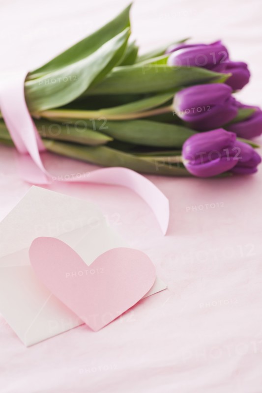 Studio shot of tulips and greeting card. Photo: Daniel Grill
