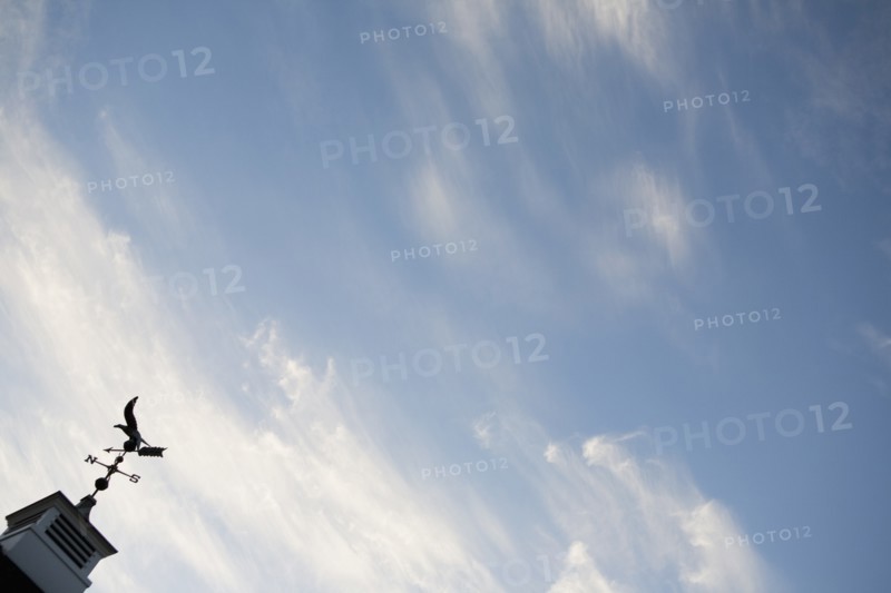 USA, New Jersey, Building top with wind vane. Photo : Chris Hackett