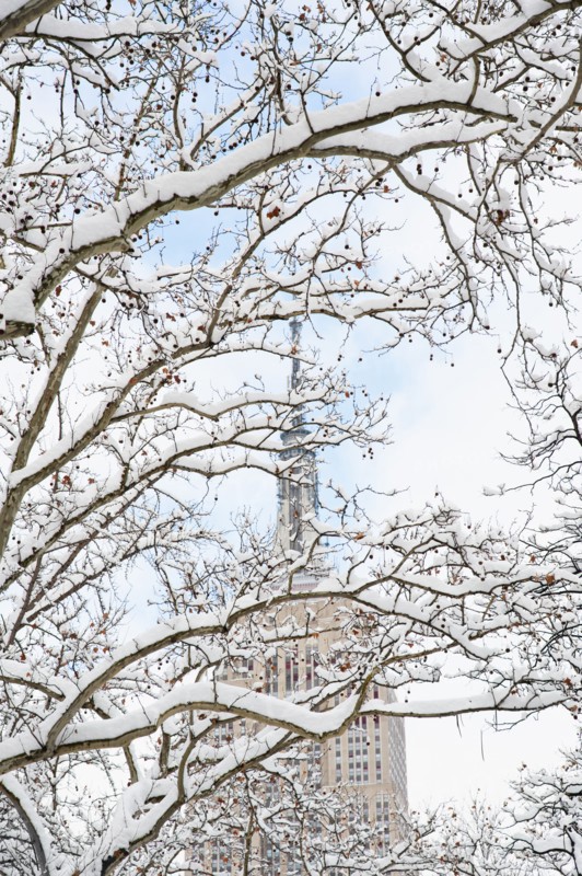 USA, New York, New York City, Empire State Building behind branches covered with snow.