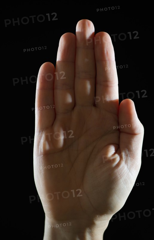Studio shot of human palm.