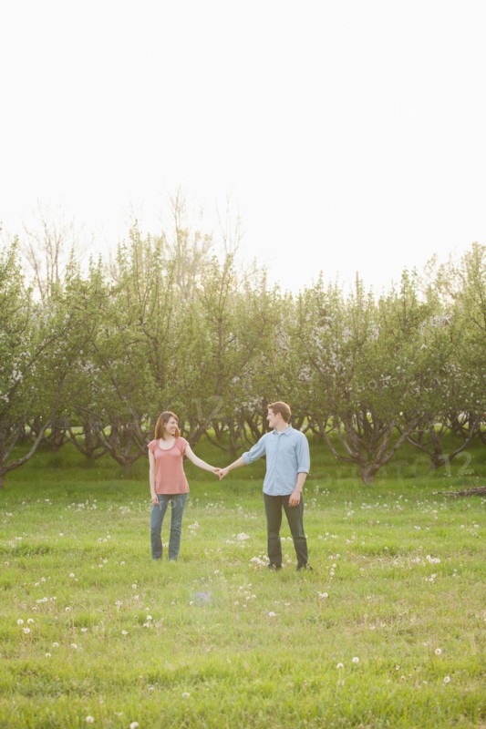 USA, Utah, Provo, Young couple walking through orchard. Photo : Mike Kemp
