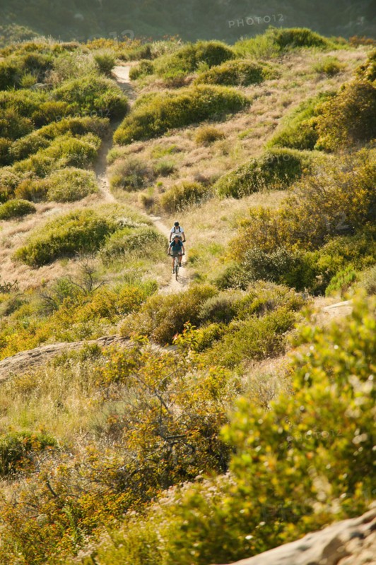 USA, California, Laguna Beach, Mountain bikers on trail.