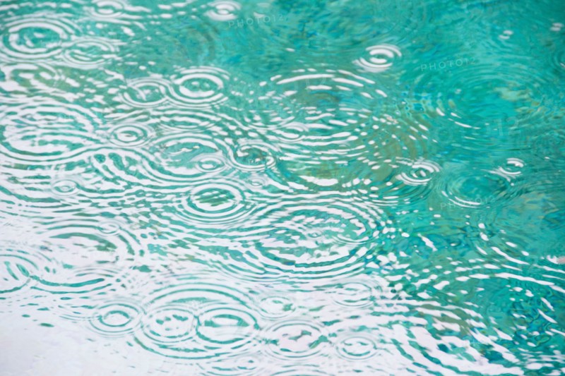 Raindrops on falling on pond surface. Photo : Jamie Grill Photography