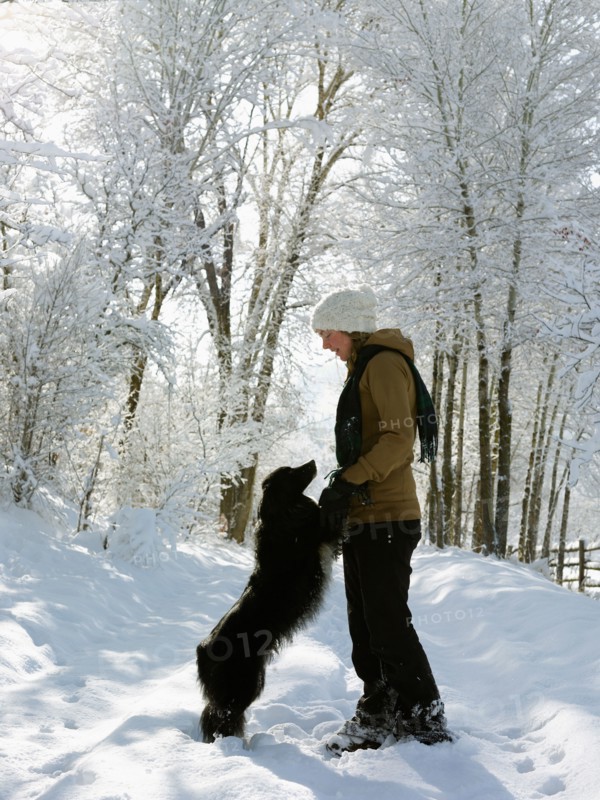 USA, Colorado, young woman playing with dog on snowy road. Photo : John Kelly