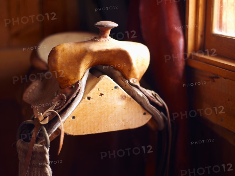 Saddle ion wooden stand. Photo : John Kelly